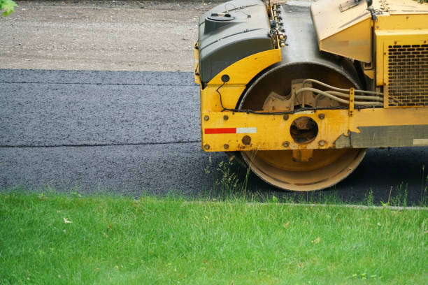 Best Driveway Border and Edging  in Harrisonville, MO